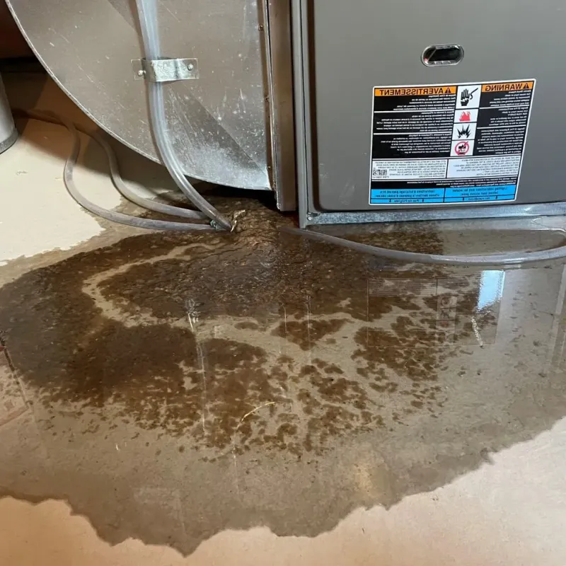 Pipe Burst and Leak Restoration in Laughlin Air Force Base, TX